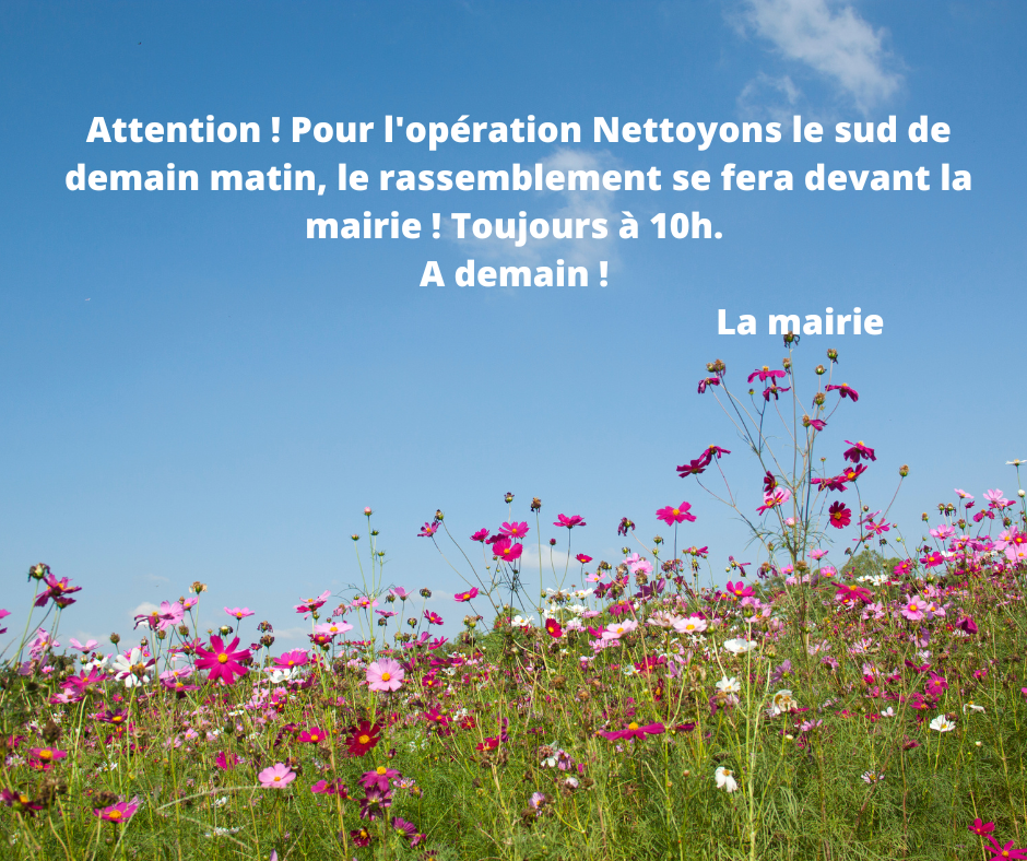Nettoyons le sud !