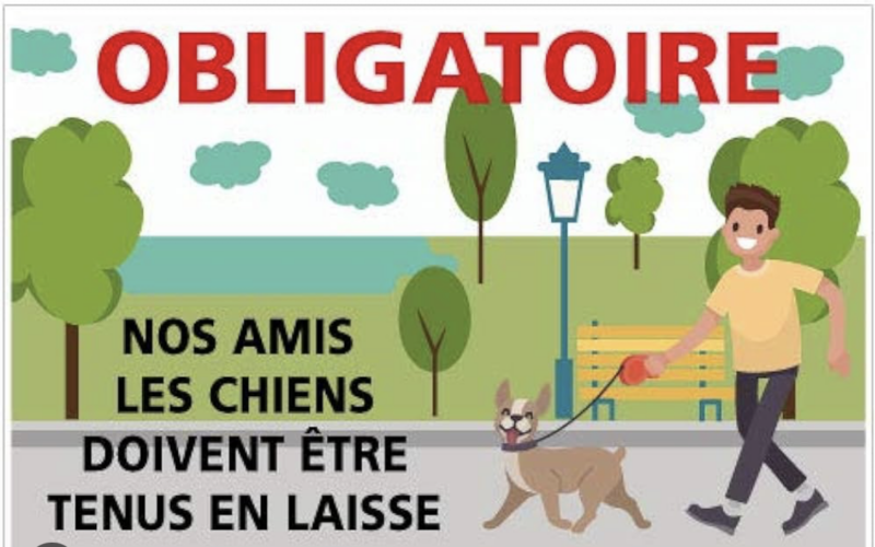 ATTENTION !